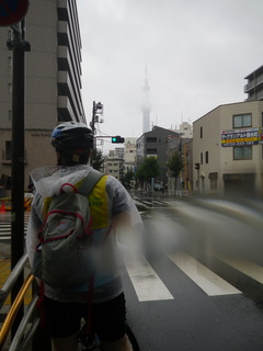 IMGP3591.JPG