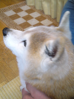 image-20130217044814.png