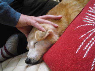 image-20130217044840.png