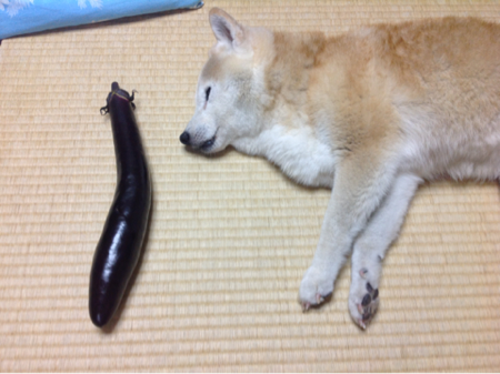 image-20130731171706.png