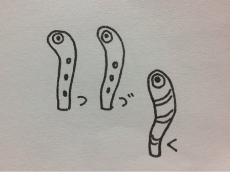 image-20140125014659.png